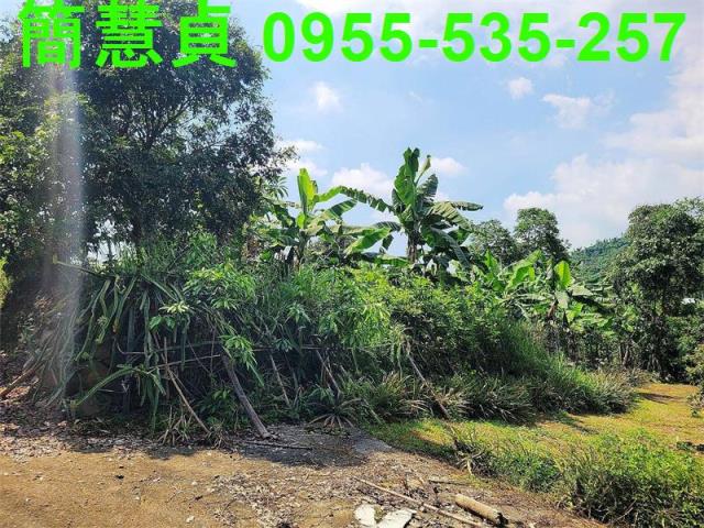南投草屯農地-2