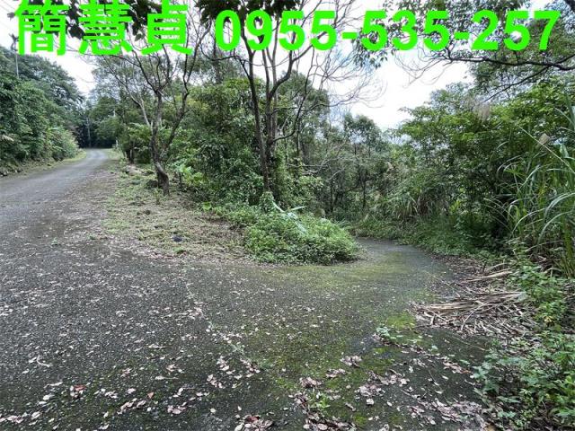 鹿谷農地-3