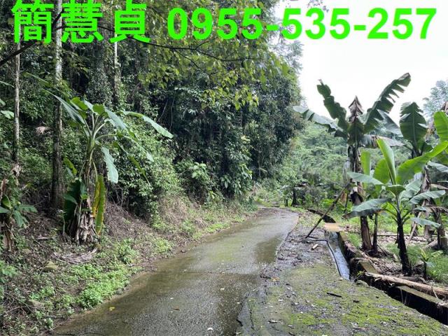 鹿谷農地-4