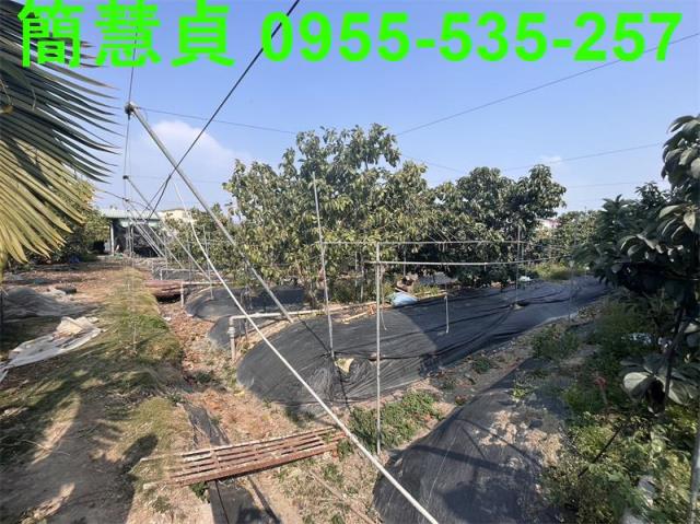 南投農地-2