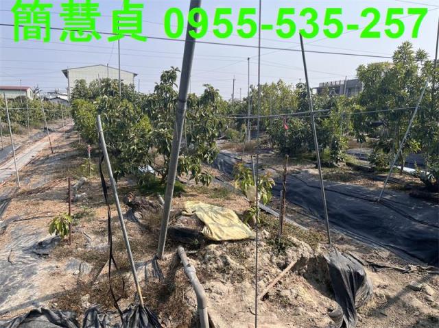 南投農地-3