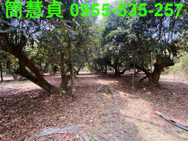 草屯農地-2