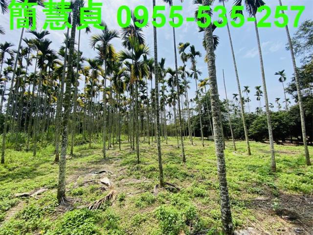 草屯農地-3