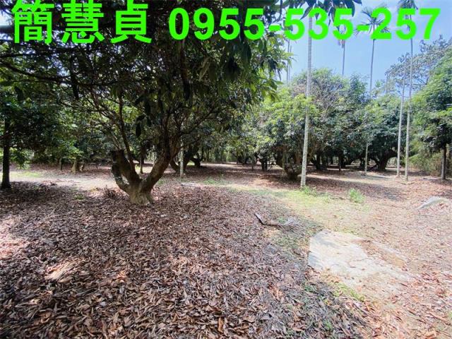 草屯農地-4