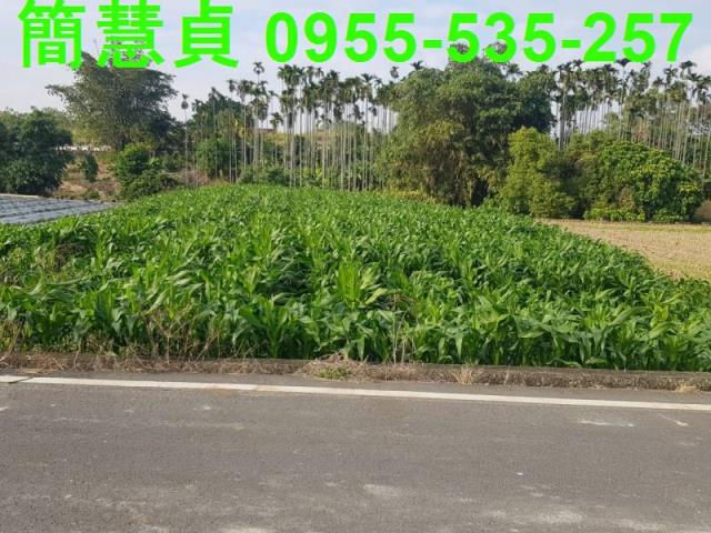 南投農地-0