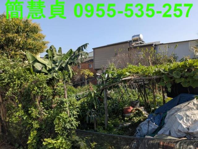 南投建地-1