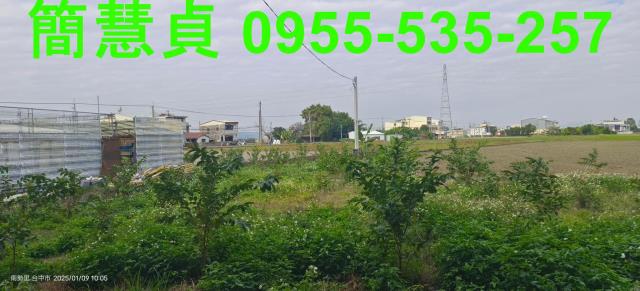 台中農地-2