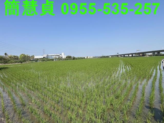 台中農地-2