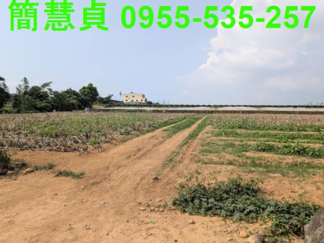 名間農地-0