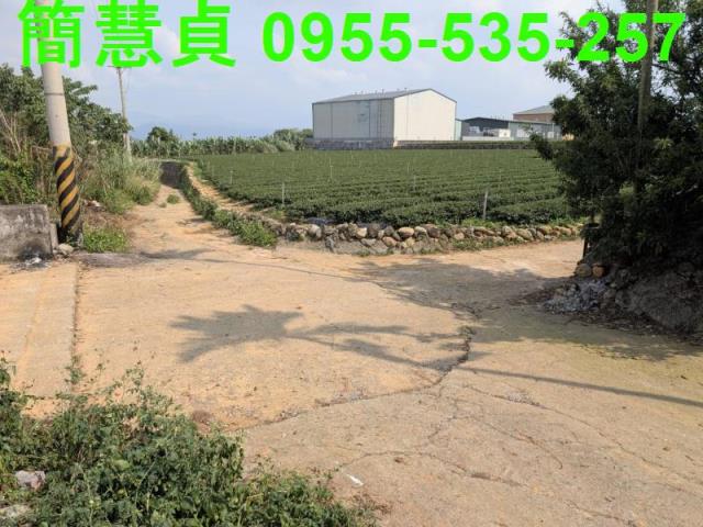 名間農地-3