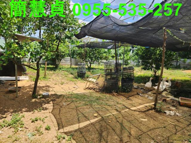 名間農地-9