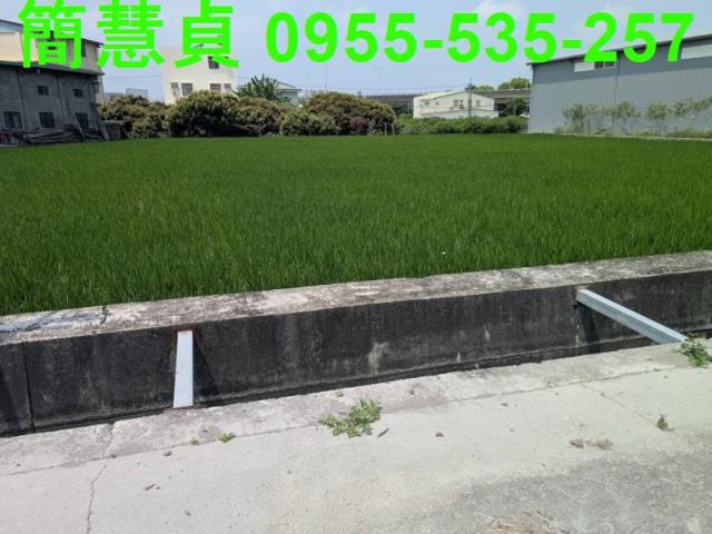草屯農地-1