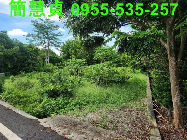 彰化田尾農地-2