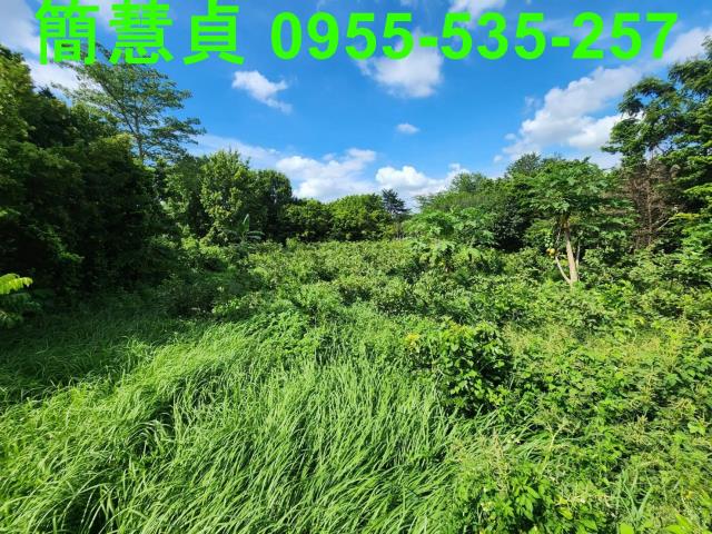 彰化田尾農地-3