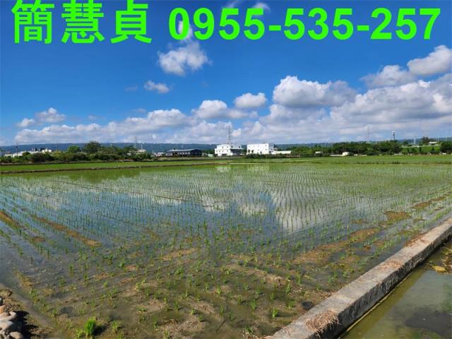南投農地-3