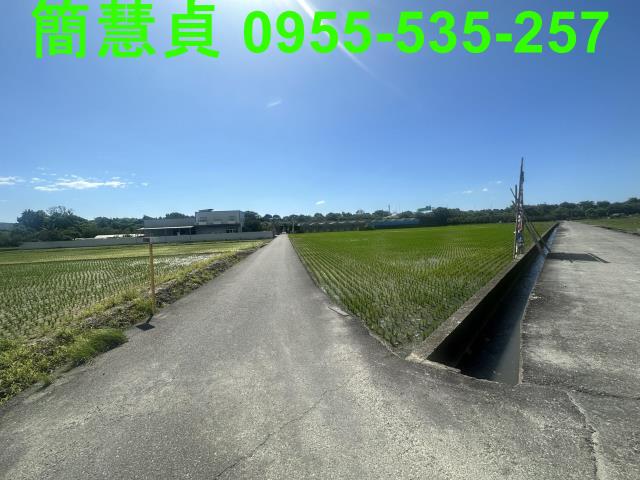 草屯農地-1