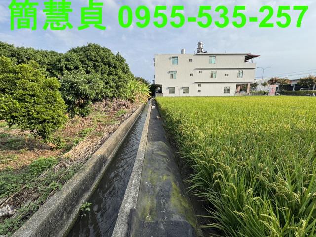 南投草屯農地-3