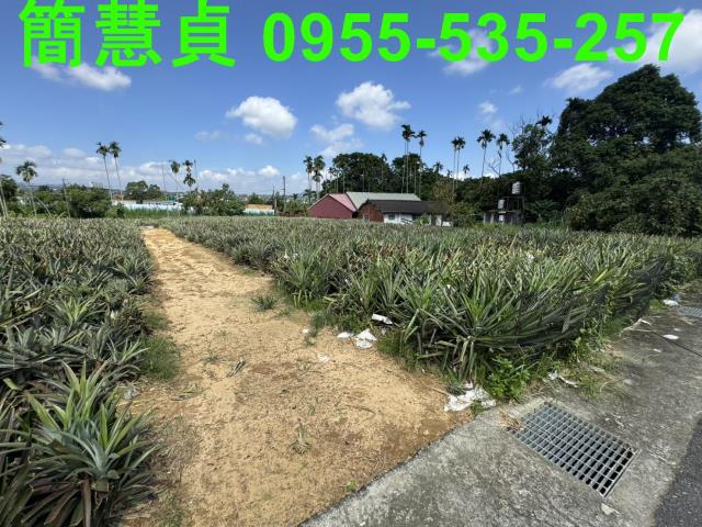 名間農地-4