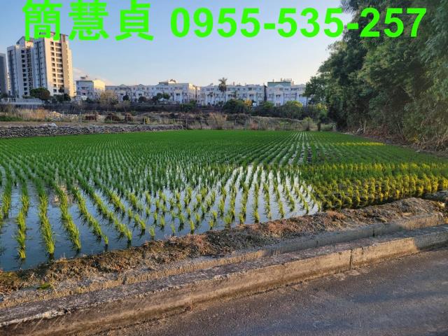 南投草屯農地-0