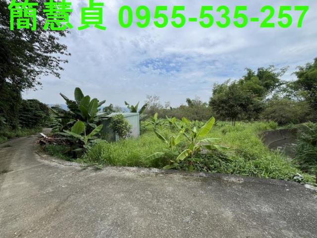 南投草屯農地-1