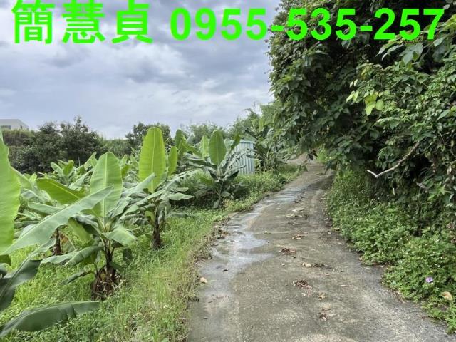 南投草屯農地-3