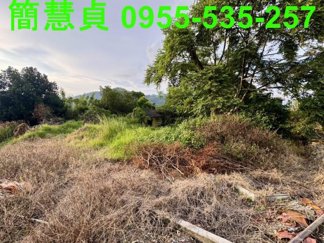 南投草屯建地-0