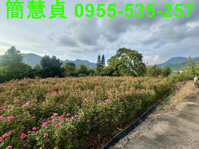 南投草屯建地-1
