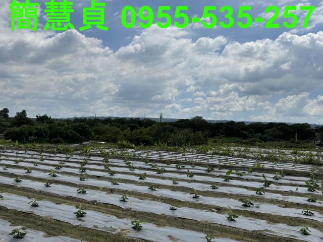 名間建地-5