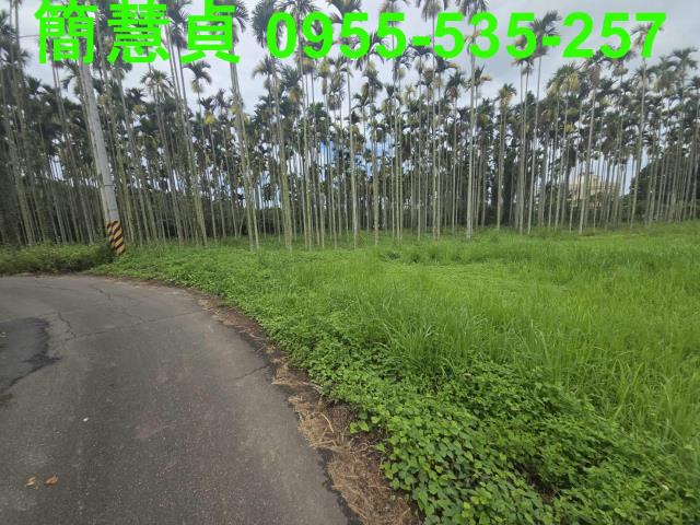 草屯農地-2
