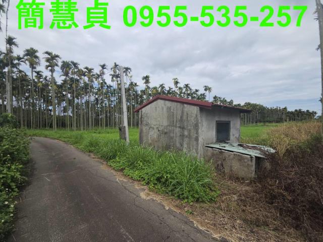 草屯農地-3