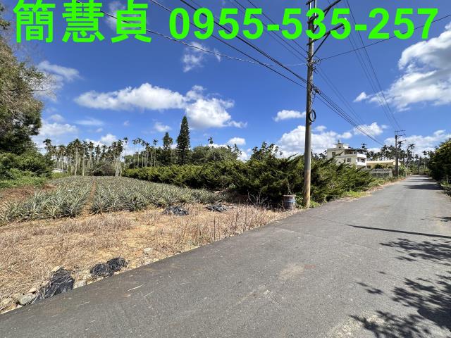南投草屯農地-1