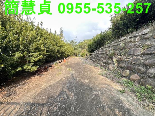 草屯農地-9