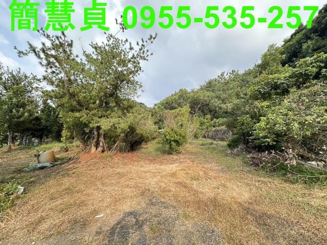 草屯農地-1