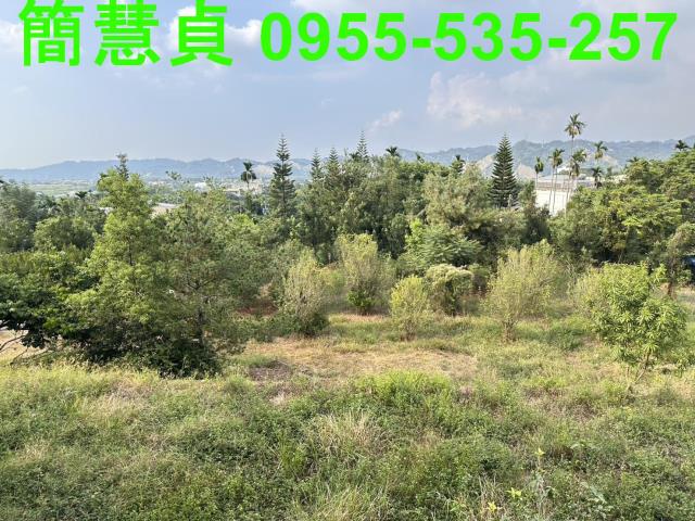 草屯農地-2