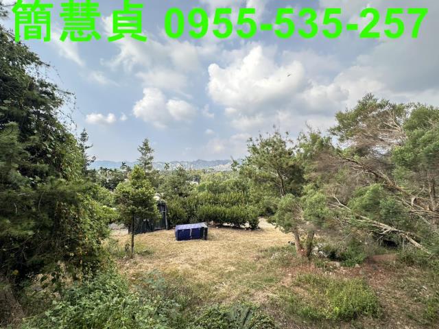 草屯農地-3