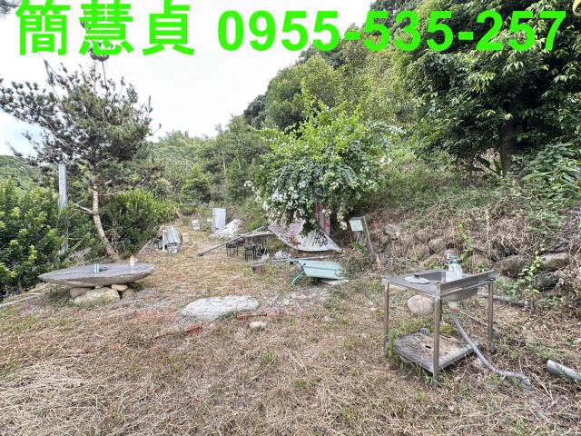 草屯農地-4