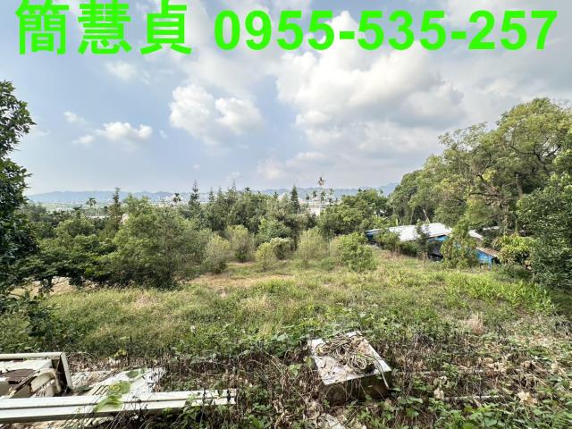 草屯農地-5