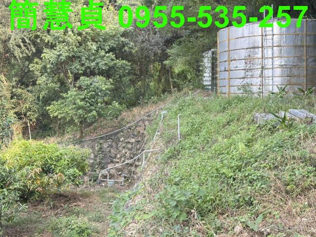 草屯農地-6