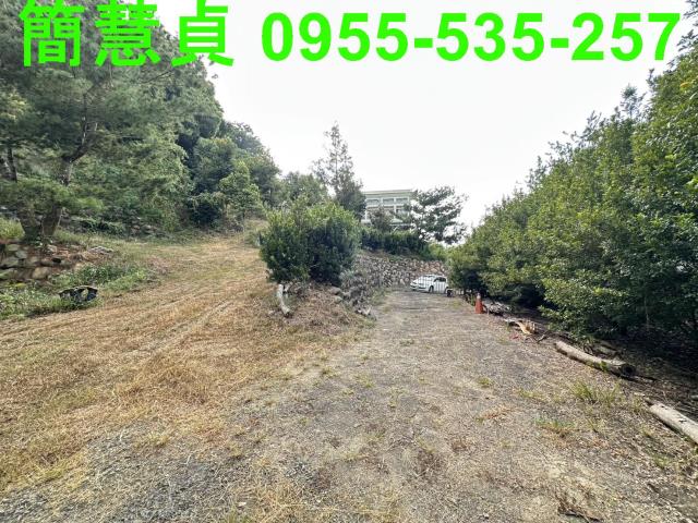 草屯農地-8