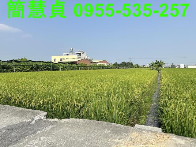 草屯農地-0